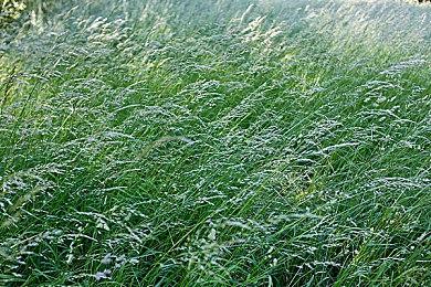 并非玄学！实证夏普空气清新技术有助提升玩家《无畏契约》战斗性能